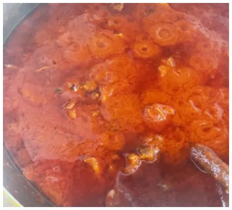 Chicken/Beef Stew (Big Pot)